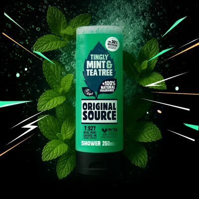 오리지널소스 민트 티트리 샤워젤 250ml