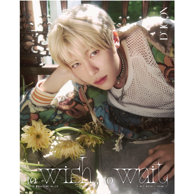 DICON VOLUME N29 TO WISH, TO WAIT (B-TYPE)