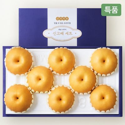 [온브릭스] 산지직송, 나주 배 선물세트 5kg (7-8입/로열과)