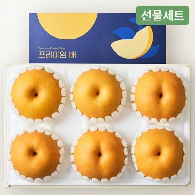 [온브릭스] 프리미엄 나주 신고배 선물세트 3kg(4-6입/특품)