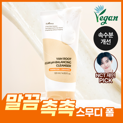 Isntree Green Tea Fresh Cleanser 120ml