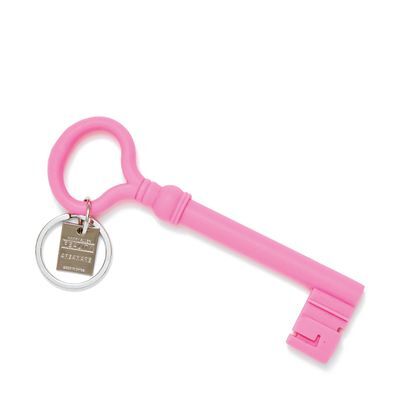 에어리어웨어 reality keychain key pink 키링