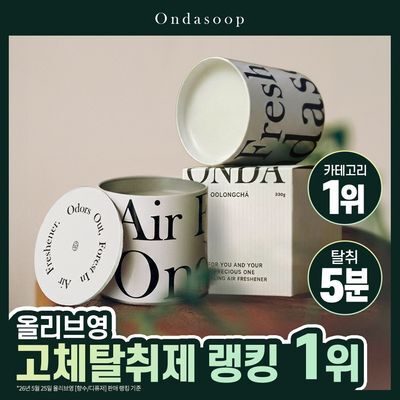 온다숲 힐링 고체탈취제 330g 우롱차향