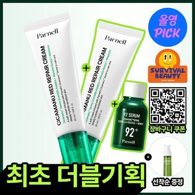 파넬