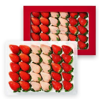 수플린 프리미엄 딸기 셀렉션, 유명산지 딸기 오마카세 800g (특품/20~35입/설향,금실,흰딸기)