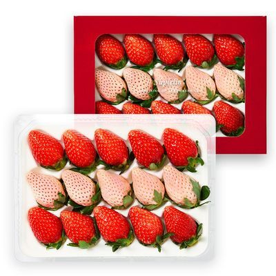 수플린 프리미엄 딸기 셀렉션, 유명산지 딸기 오마카세 400g (특품/12~20입/설향,금실,흰딸기)