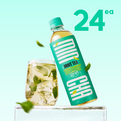 [NEW] 클룹 민차 500ml 24개입