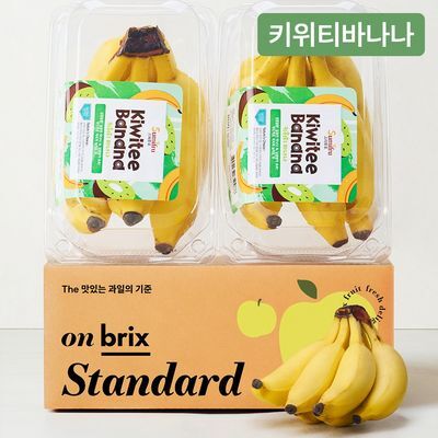 [온브릭스] 달콤한 바나나에 더해진 키위의 상큼함, 키위티 바나나 2팩