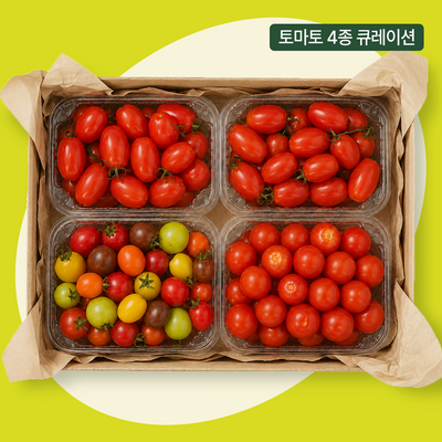 엘로아시스 방울 토마토 셀력션 기획세트(대추방울+스테비아+컬러방울+네뷸라)