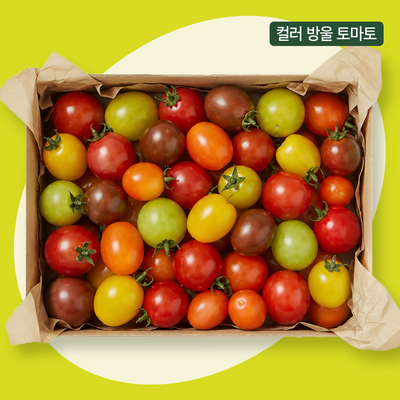 엘로아시스 컬러 방울 토마토 500gx2팩
