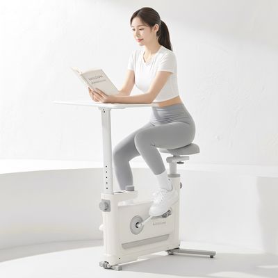 이고진 데스크 바이크