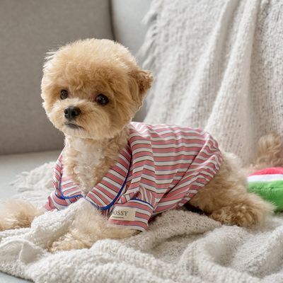 도씨 실크핏 피오니 펫 잠옷 반려동물 파자마