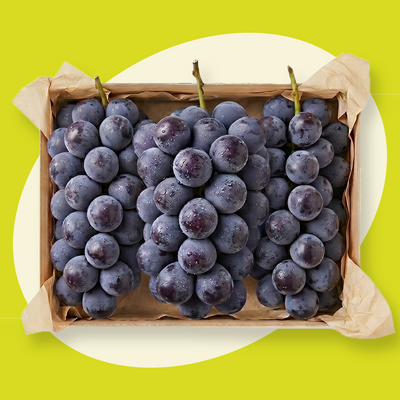 엘로아시스 고당도 수출용 품위 거봉 1.5kg (2~3송이)