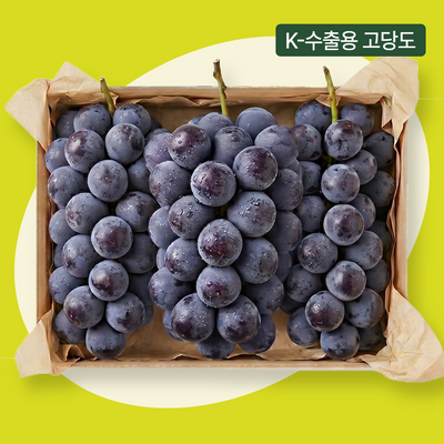 엘로아시스 K-수출용 포도 특등품, 고당도 거봉 1.5kg (2~3송이)