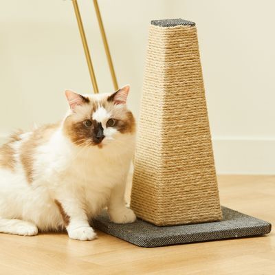 펫토리아 한층뚝딱 고양이 4면 헤링본 스탠드 소형 스크래쳐 41cm