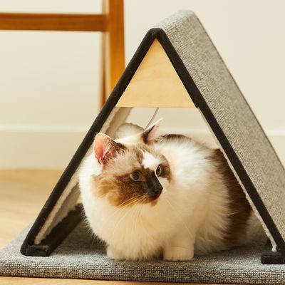 펫토리아 한층뚝딱 고양이 숨숨집 삼각 소형 스크래쳐 36.5cm