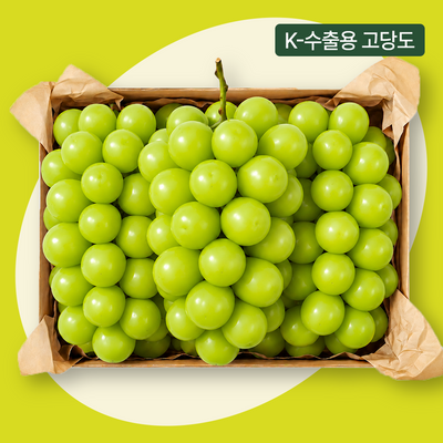 엘로아시스 K- 수출용 포도 특등품, 고당도 샤인머스캣 (17Brix 이상)