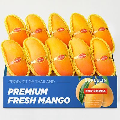 수플린 고당도 마하차녹 무지개 망고 4kg (8~15입)