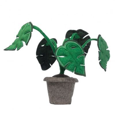 키즈데포 monstera