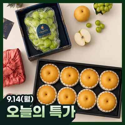 [엘로아시스][추석선물] 정성가득 선물세트 기획전