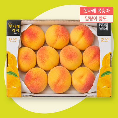엘로아시스 장호원 햇사레 복숭아 3kg_중황도 황도 말랑이 대, 특대, 로얄 선택(정품, 선물용)
