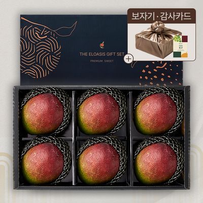 [엘로아시스][추석선물] 네이비 에디션, 애플망고 선물세트 2.4kg내외(특품/6입)