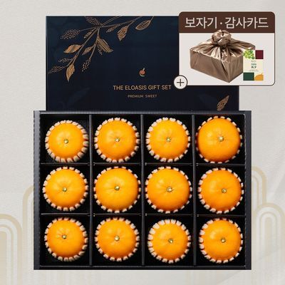 [엘로아시스][추석선물] 프리미엄 네이비 에디션, 황금향 선물세트 4.5kg내외(특품/12입)