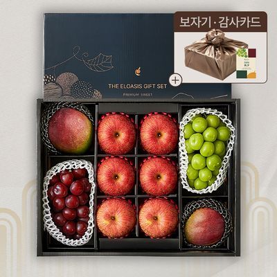 [엘로아시스][추석선물] 프리미엄 네이비 에디션, 사과&포도2종&애플망고 선물세트 4kg내외(특품/10입)