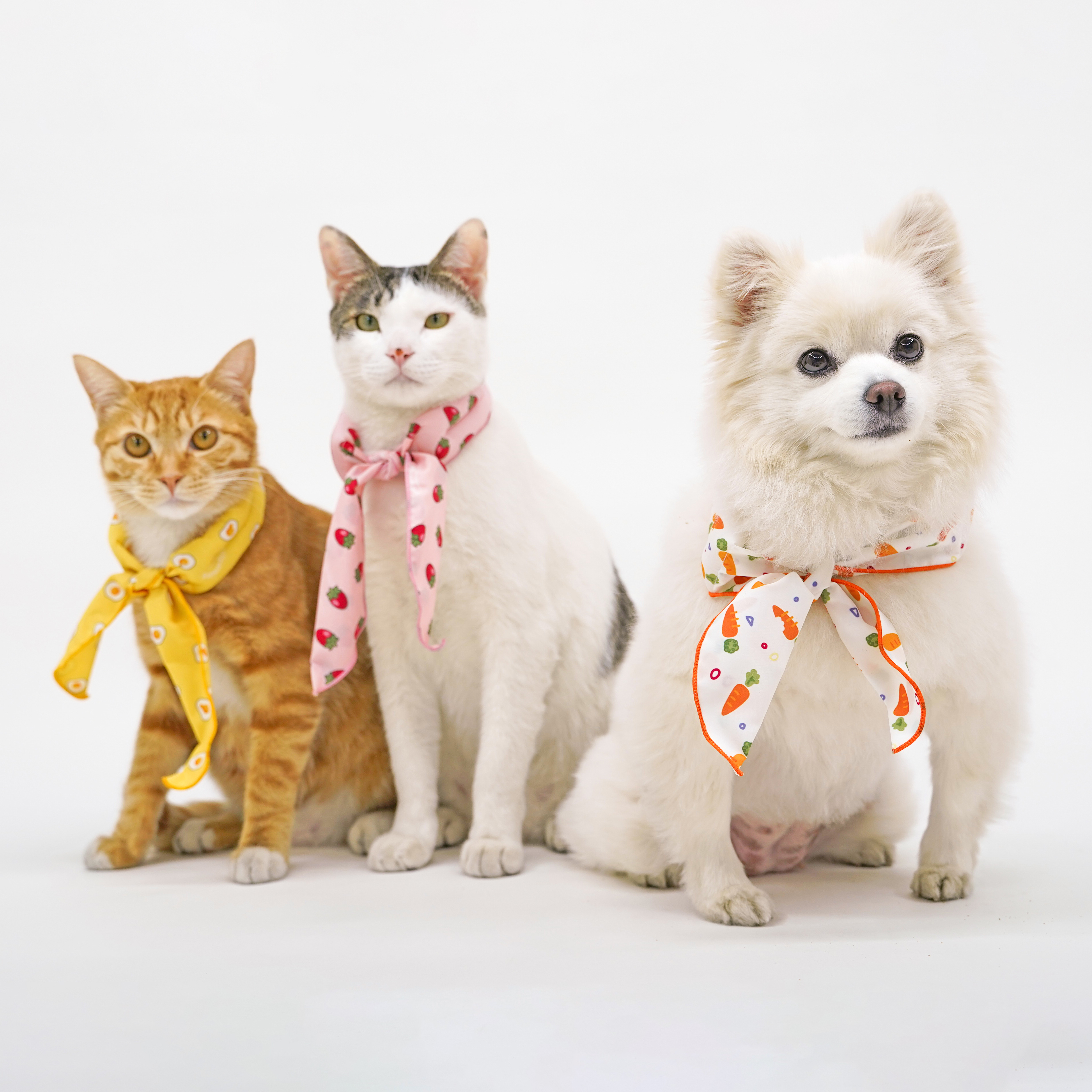 [펫프닝] 강아지&고양이 쿨 스카프