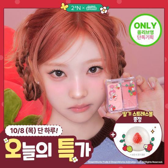 투에이엔 투에이엔 듀얼치크 20 colors (기획/단품)