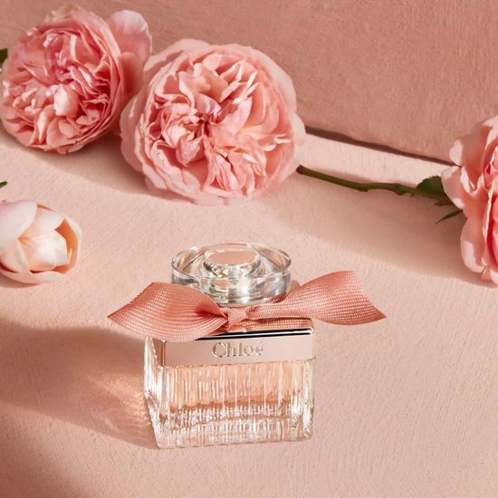 끌로에 로즈 드 끌로에 EDT 30ml/50ml 가격 추이 끌로에 끌로에 로즈 드 끌로에 EDT 30ml/50ml - 최저가 69,000원