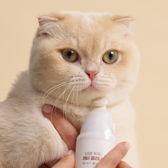 냥쌤 고양이 턱드름 피지케어 쏙쏙 깨비 클리너 30ml 가격 추이 냥쌤 냥쌤 고양이 턱드름 피지케어 쏙쏙 깨비 클리너 30ml - 최저가 13,800원