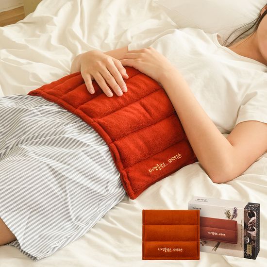 오색약손 허리온 가격 추이 오색약손 오색약손 허리온 - 최저가 45,000원