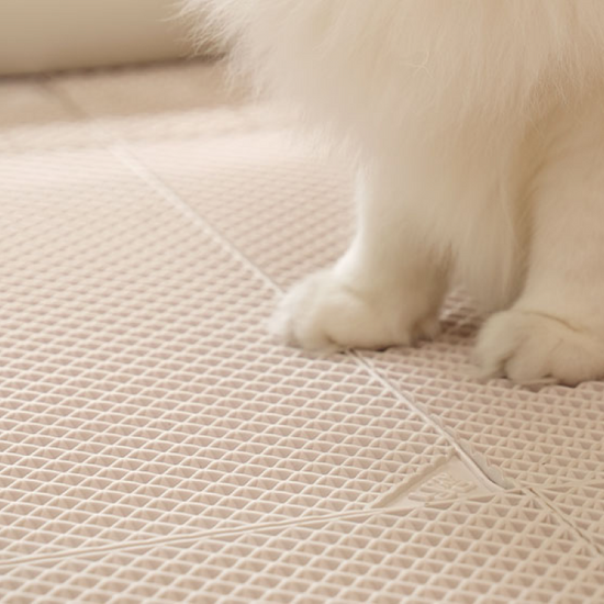 냥쌤 고양이 모래 사막화 방지 캐치매트 (큐브타입/롱타입) 가격 추이 냥쌤 냥쌤 고양이 모래 사막화 방지 캐치매트 (큐브타입/롱타입) - 최저가 38,000원