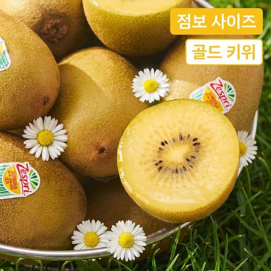 온브릭스 압도적 크기, 제스프리 점보 썬 골드키위 1.5kg / 3kg / 4.5kg - 최저가 20,960원
