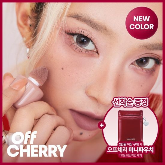 웨이크메이크 웨이크메이크 쉐이킹 블러 치크