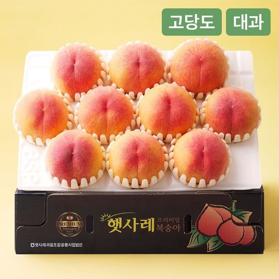 온브릭스 햇사레 고당도 말랑이 복숭아 - 최저가 39,920원