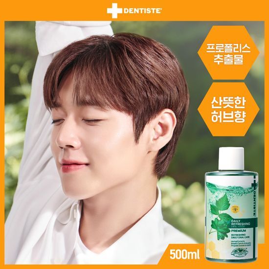 덴티스테 덴티스테 데일리 리프레싱 오랄린스 500ml