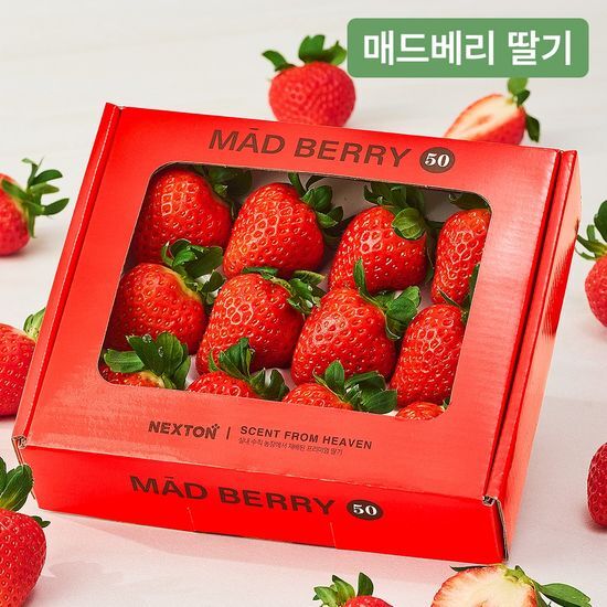 온브릭스 처음부터 끝까지 완벽하게 기른 딸기, 고당도 매드베리 딸기
