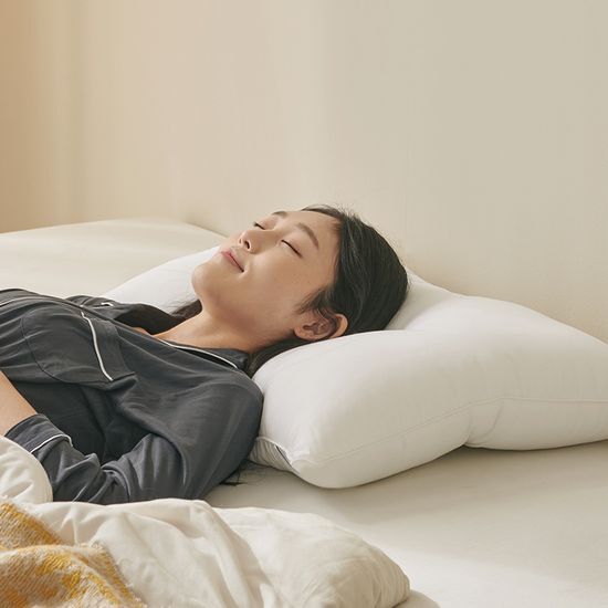 ON 경추 베개솜 40x60 가격 추이 모던하우스 ON 경추 베개솜 40x60 - 최저가 10,710원