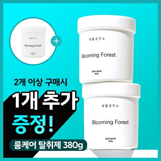 생활공작소 생활공작소 룸케어 고체 탈취제 380g 블루밍포레스트향