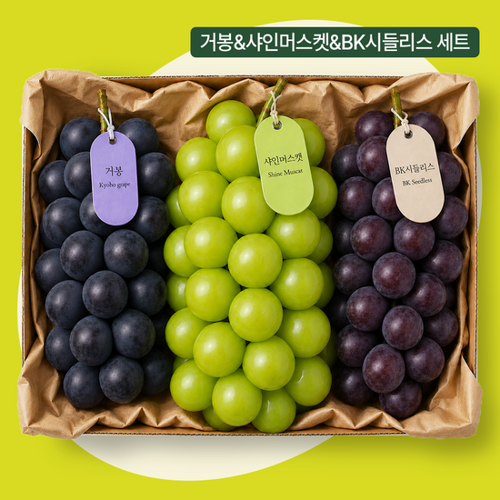 엘로아시스 엘로아시스 수출용 고당도 17Brix 이상, 샤인+거봉+BK시들리스 포도 큐레이션 2kg(샤인1,거봉1, bk1)
