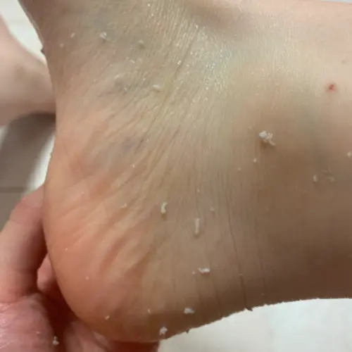 买家评价图片