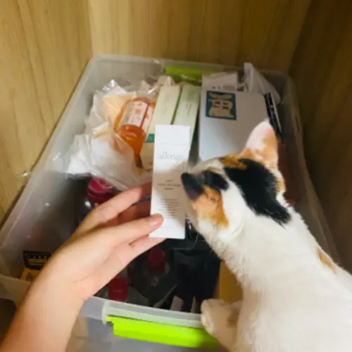 买家评价图片