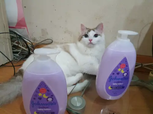 买家评价图片
