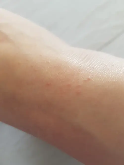 买家评价图片