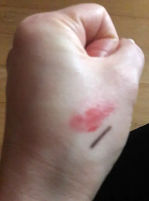 买家评价图片
