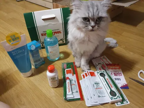 买家评价图片