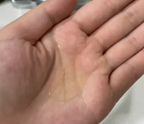 买家评价图片