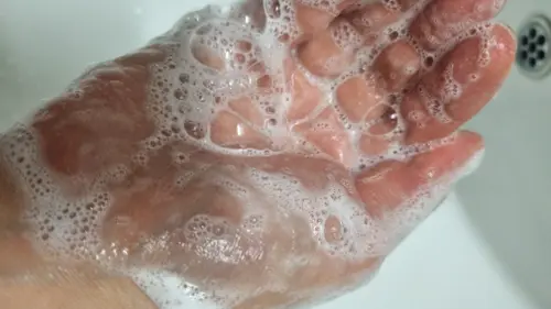 买家评价图片